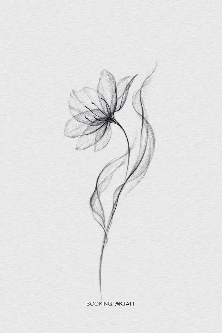 Estilo Pequeño Fine Line