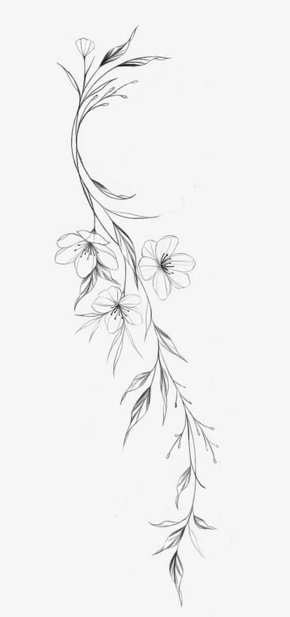 Estilo Pequeño Fine Line